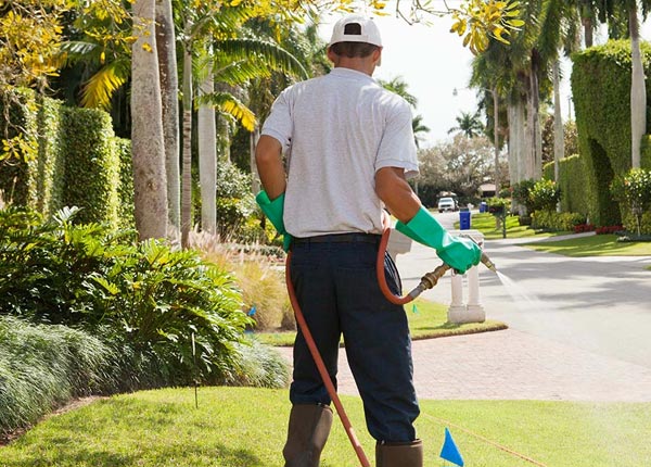 About Stehekin WA Pest Control